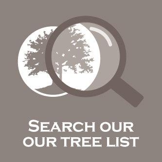 search advanced trees