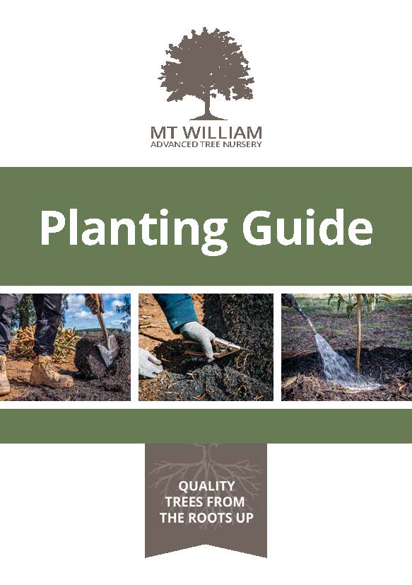 MTW A5 Planting Guide Front page