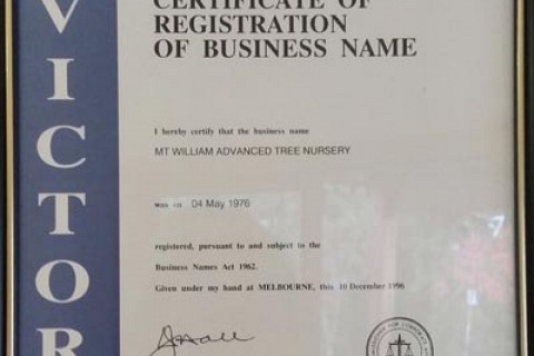 Business registration