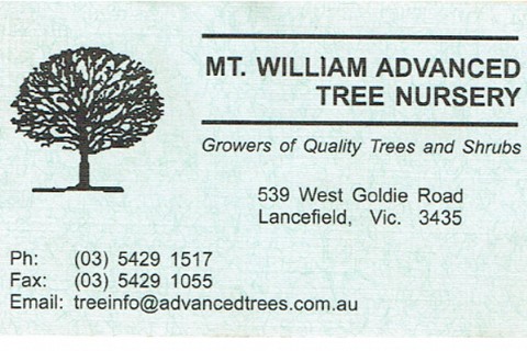 Mt William Business Card Old